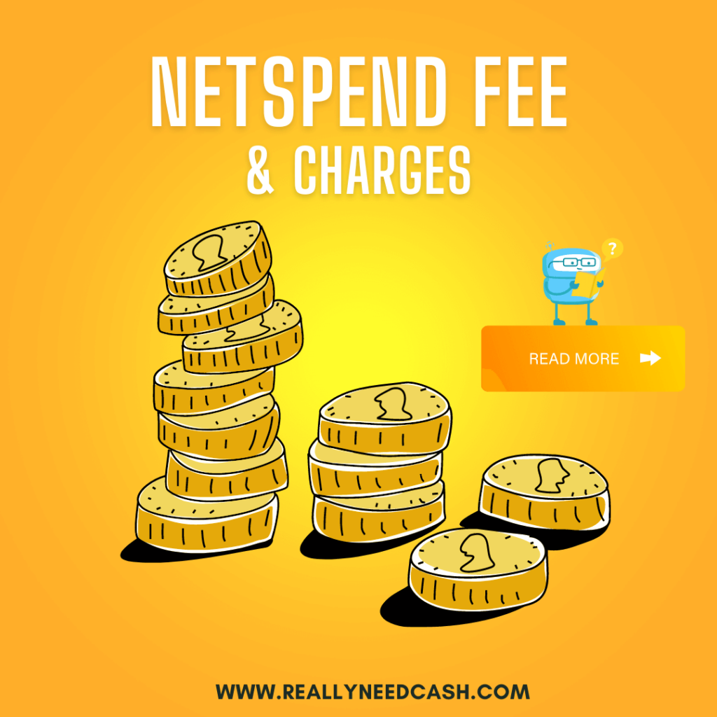 Netspend Fees And Charges