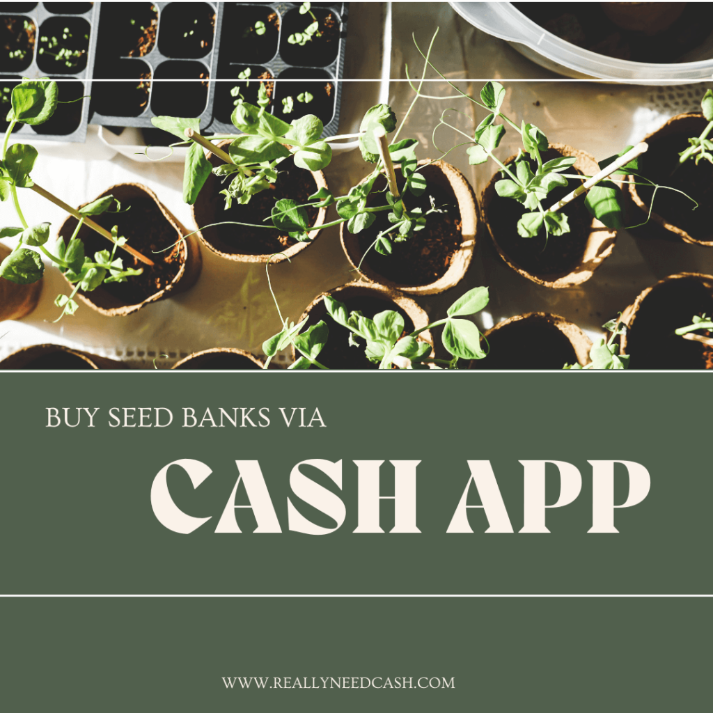 Seed Banks That Accept Cash App